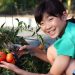 Home gardening 101: 5 Secrets for growing great tomatoes