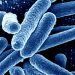 STD superbugs spreading like wildfire … One exposure and you’re infected for life