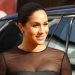 Is Meghan Markle Enjoying the Royal Life Spotlight?