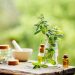 These effective natural remedies can help heal cold sores